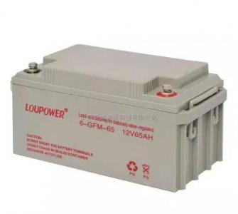 莱力蓄电池6-GFM-50